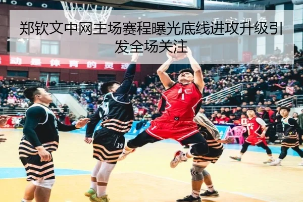 郑钦文中网主场赛程曝光底线进攻升级引发全场关注