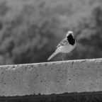 Ein Ort, an dem du wieder du sein kannst