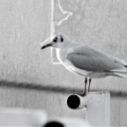 Verlorenes Zeitgefühl